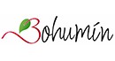 Město Bohumín